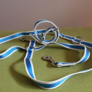 Oferta colar + correa modelo Galicia