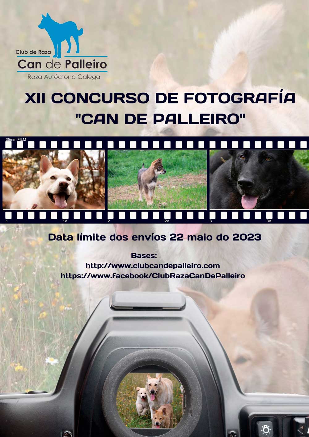 XII Concurso de fotografía «Can de Palleiro» 2023