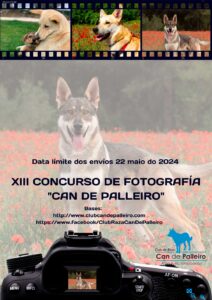 Lee más sobre el artículo XIII Concurso de fotografía «Can de Palleiro» 2024