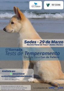 tests-de-temperamente-can-de-palleiro