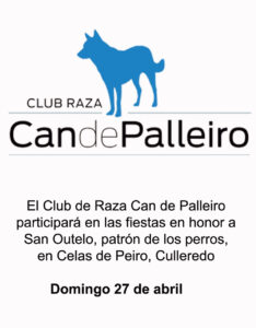 patrón-de-los-perros-2025